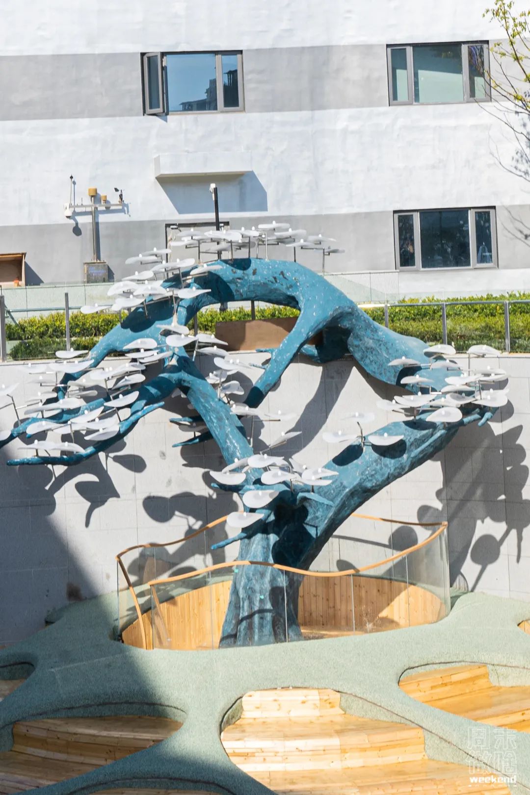 上海为什么要发展五大新城,向塘上海新城有发展吗