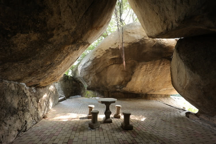 赏城中美景，品厦门味道。城市中心C位酒店，毗邻植物园、中山路