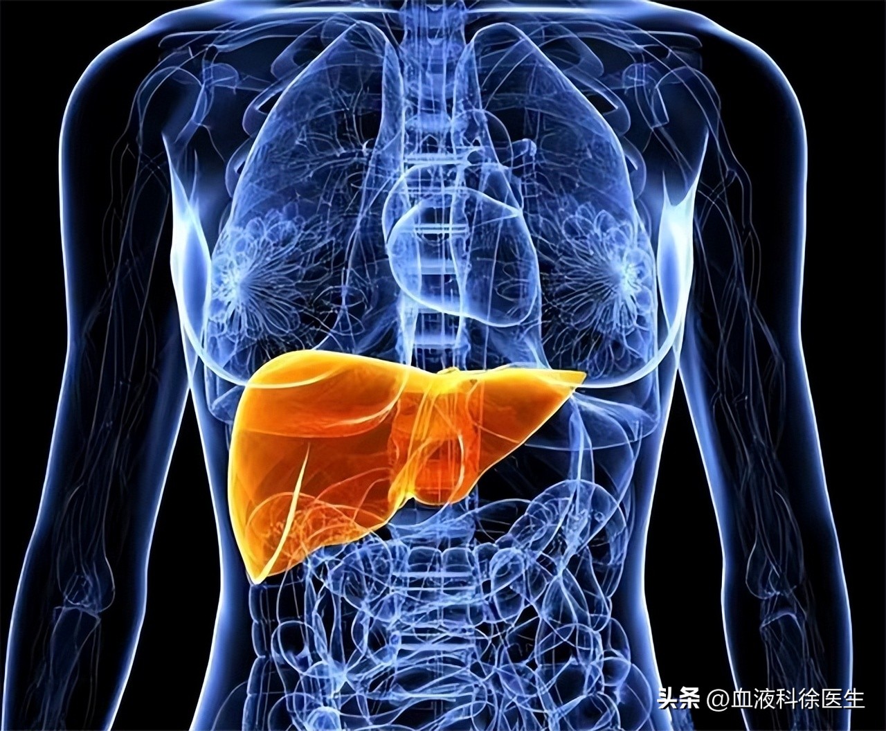 养肝护肝的早餐食谱,养肝护肝的早餐