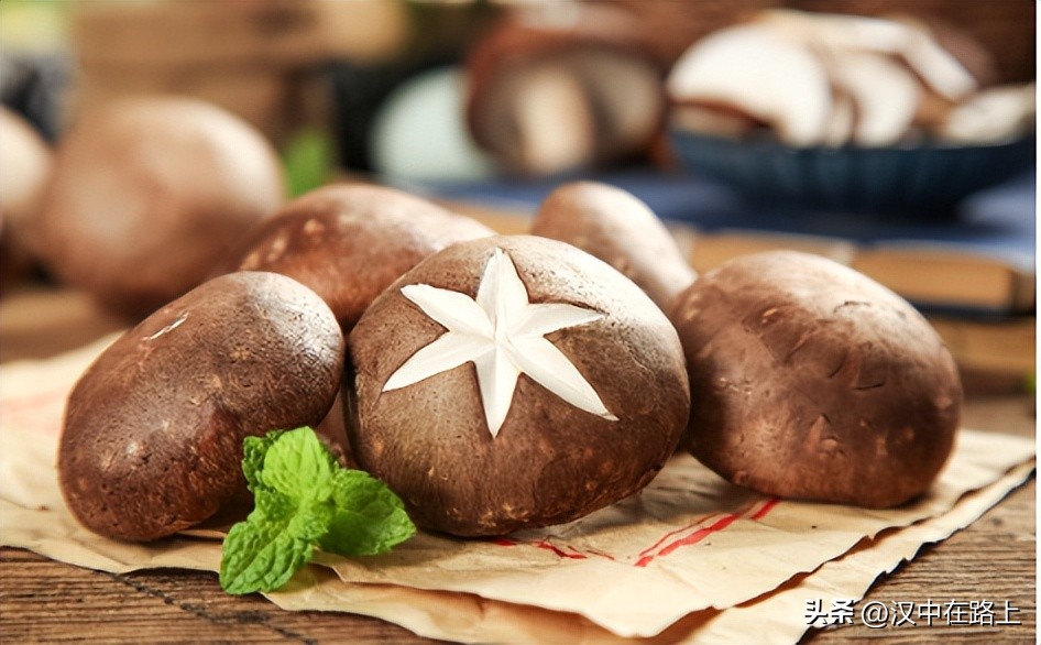 留坝的特产品种有哪些,留坝特产