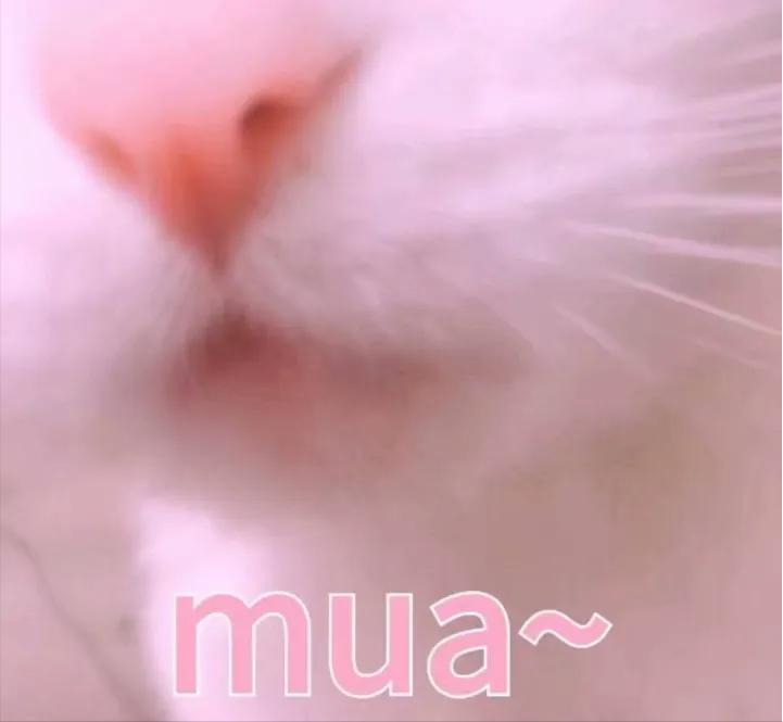 每个女生都不可能只拥有一支口红,女生一生只能买十只口红