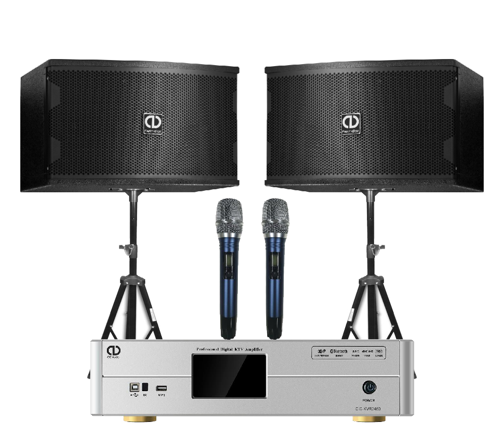 中国ktv音响品牌排行榜前十名,中国ktv专业音响品牌