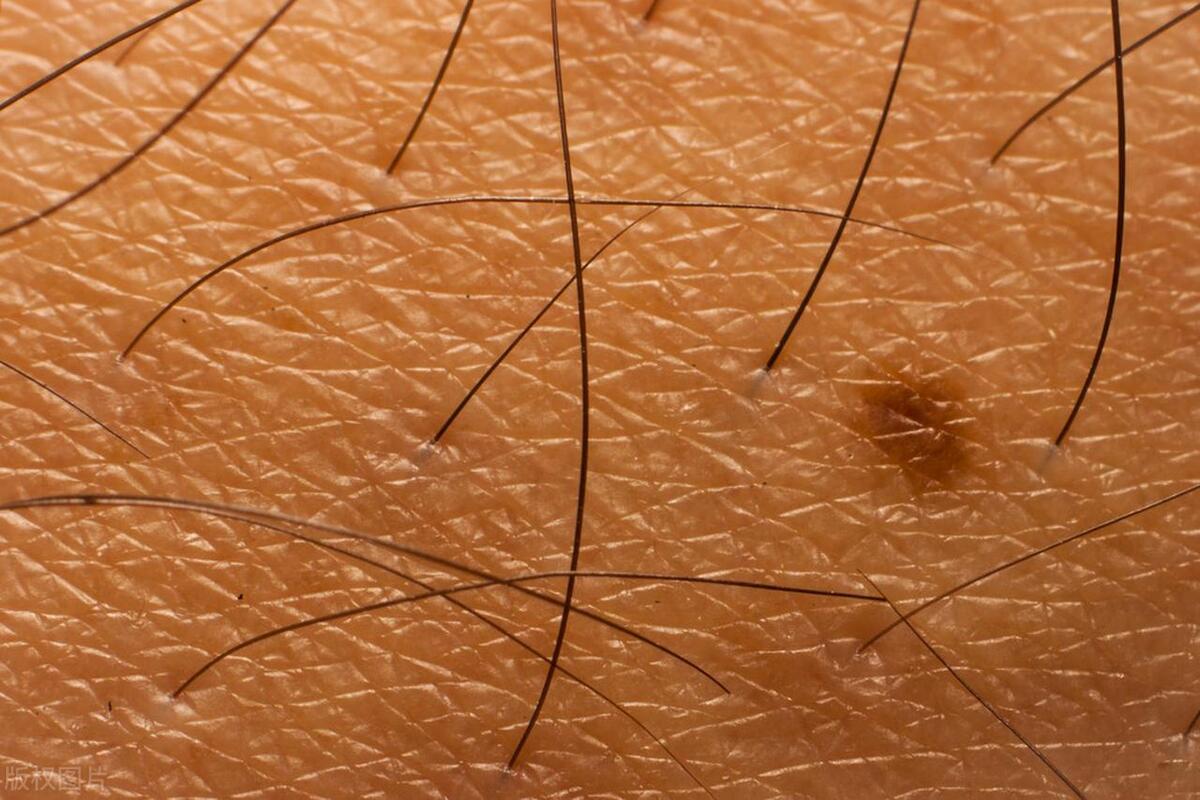 *处私**体毛在夫妻生活中有什么作用？为什么是弯的？刮掉有啥后果？