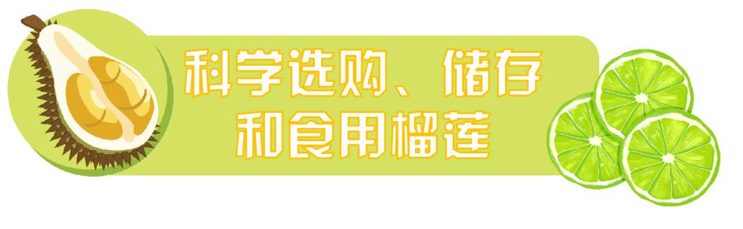榴莲种类及上市时间,金枕榴莲和报恩榴莲
