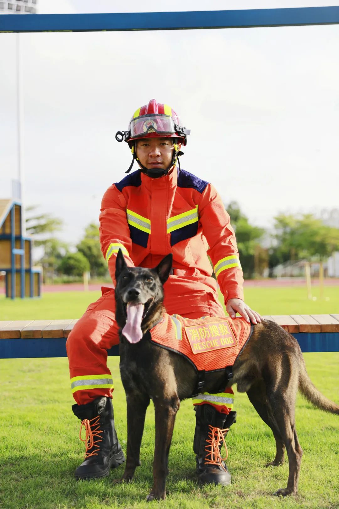 王鹏这个人怎么样,王鹏评价