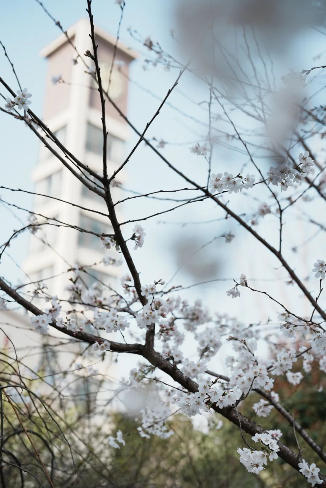 南京燕子矶中学特色,南京燕子矶中学在南京市排名