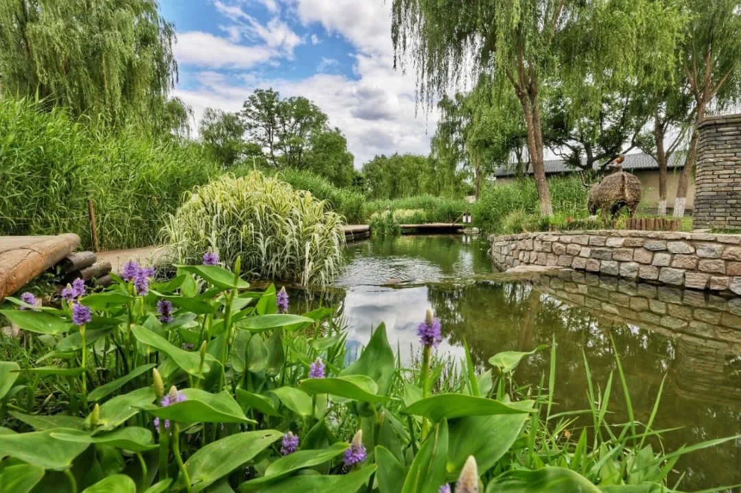 北京东城怎么样,北京东城房价一览表