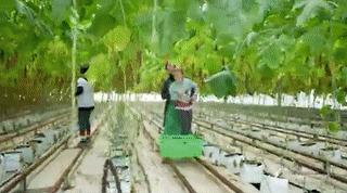 长得丑被抛弃,长得丑被人抛弃