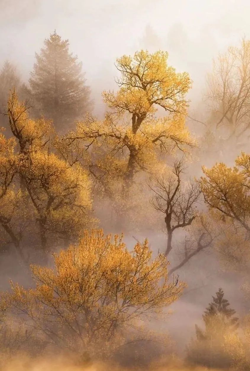 学习优秀摄影作品,摄影教学作品欣赏