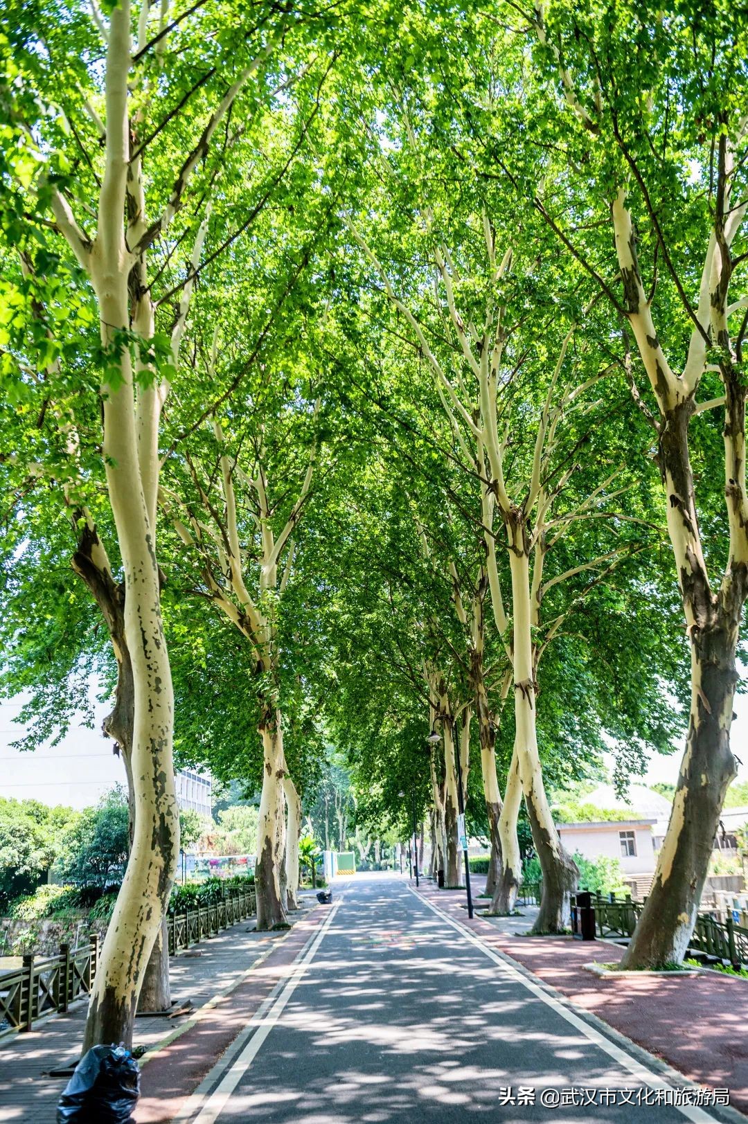 毛孩子变装,毛孩子穿上新衣服了