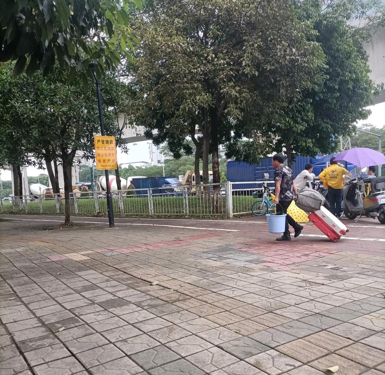 在深圳打拼工作和生活压力很大,在深圳努力拼搏为了生活