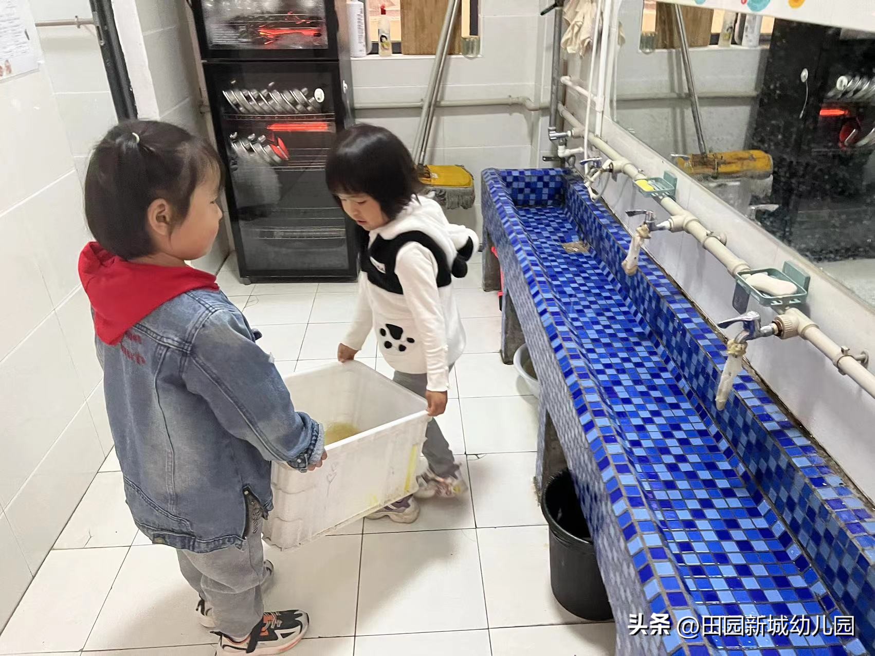 课程故事乌龟大班,嗨小鸭课程故事