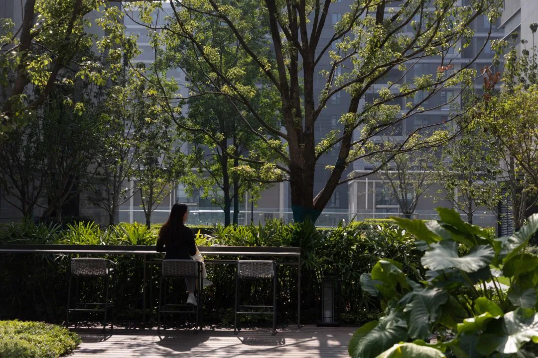 想象TOD社区的丰富可能性|未来天空之城