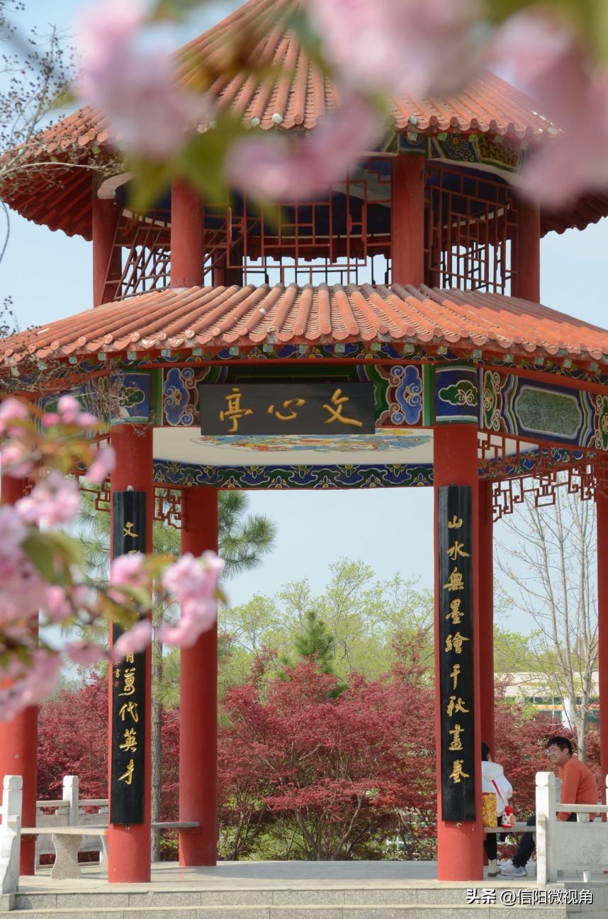 信阳师范大学：建设高水平师范大学，我们始终在路上