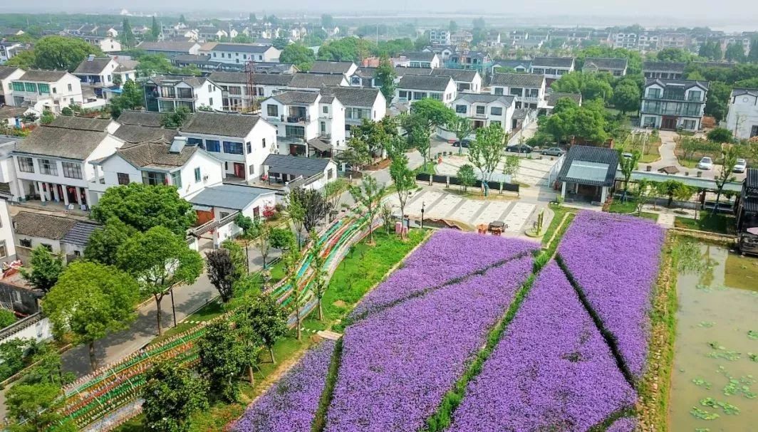 乡村振兴100讲全集,100个经典乡村振兴案例