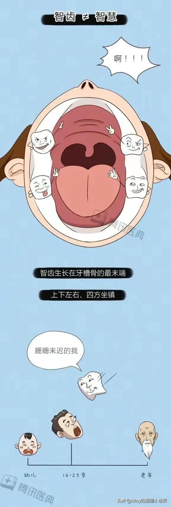 下智齿拔了上智齿正常不拔后果,不拔智齿怀孕有影响吗