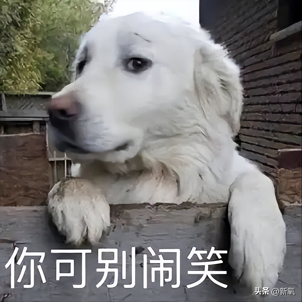 爬楼梯和跑步机哪个效果好,爬楼梯和跑步哪个好