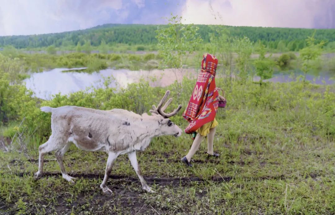 呼伦贝尔特色美食推荐,呼伦贝尔打卡美食
