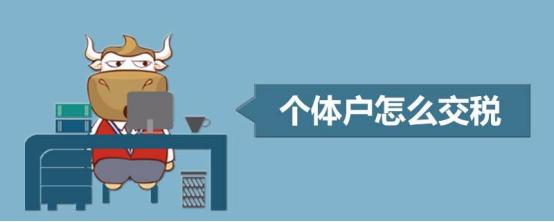 经营种子个体户如何交税,个体户怎么交税需要注意哪些细节