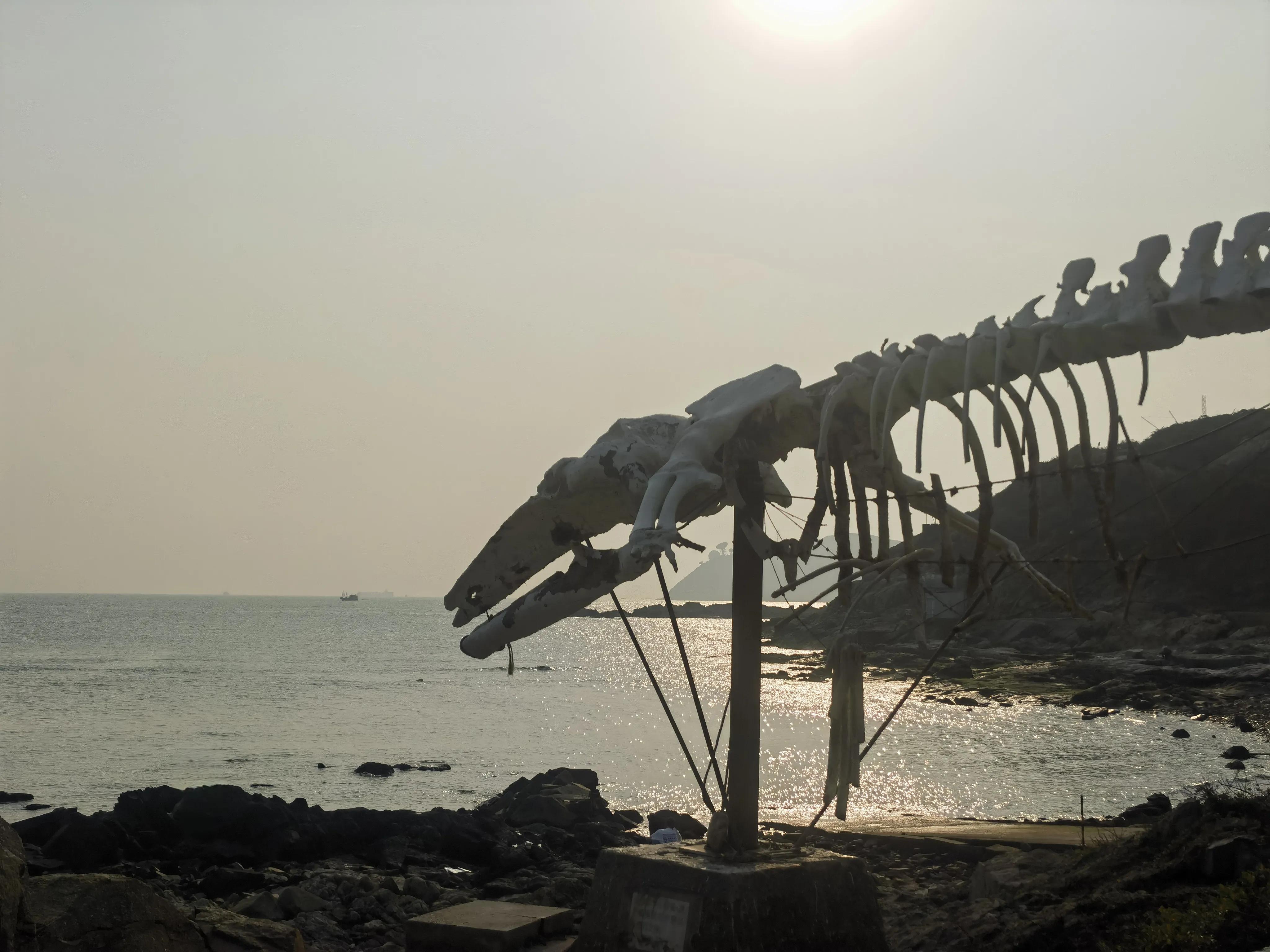 香港三日游和澳门一日游最佳线路,香港三日游最佳攻略
