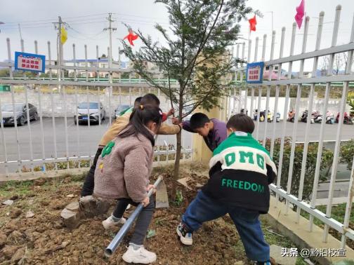 独山县城西童乐幼儿园:“春风十里,绿意萌动”