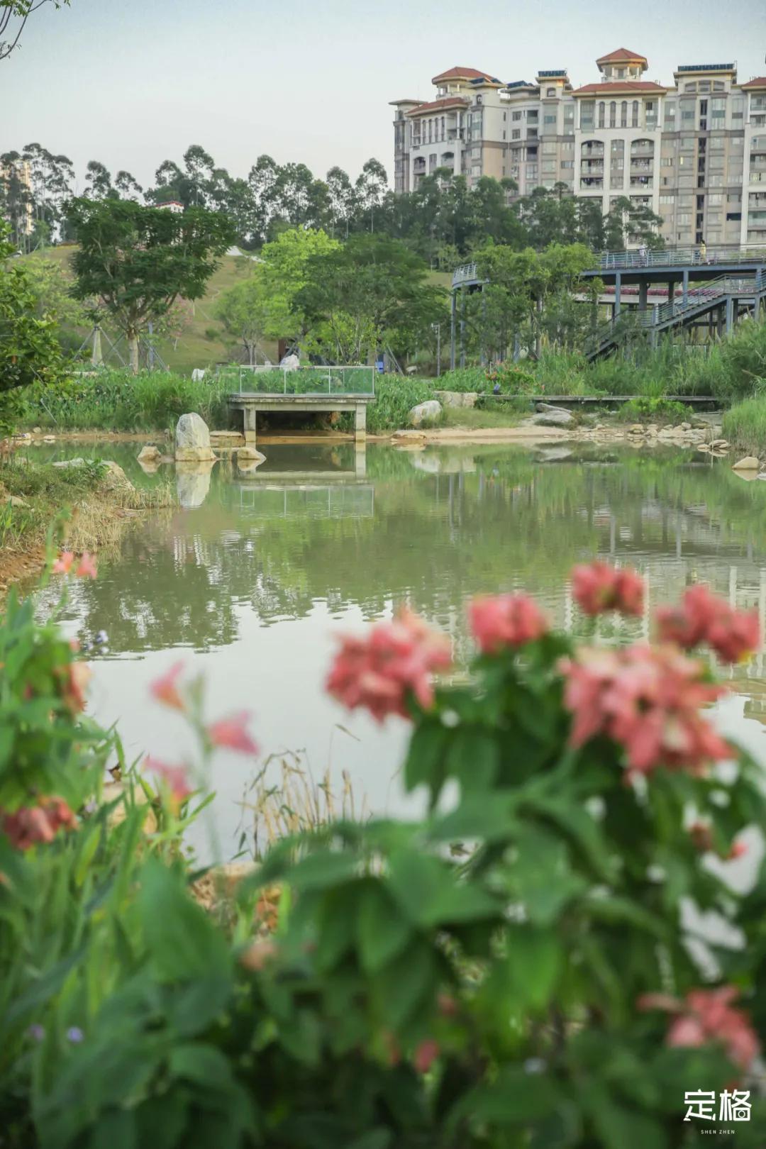 雨林打卡网红地滑梯,深圳哪里有超大型滑梯