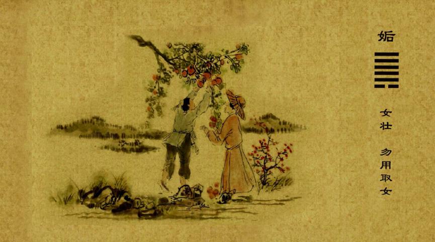 易经六十四卦之“垢卦”解卦