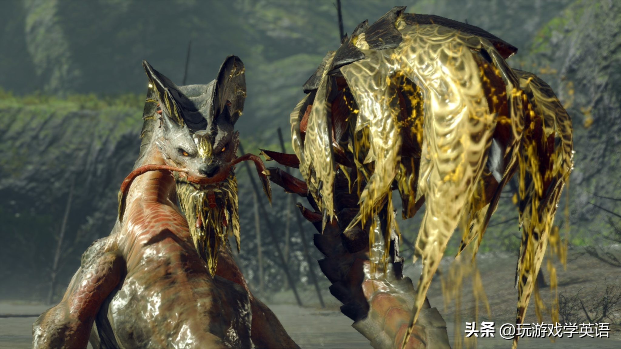 怪物猎人崛起英文,怪物猎人崛起switch英文