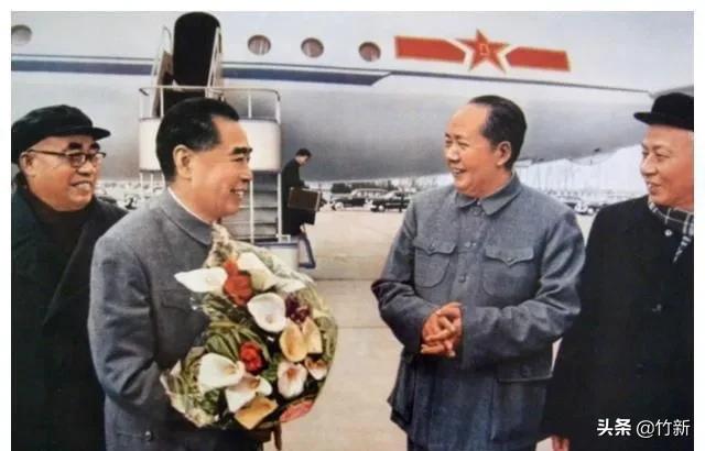 失而复得的马蹄莲