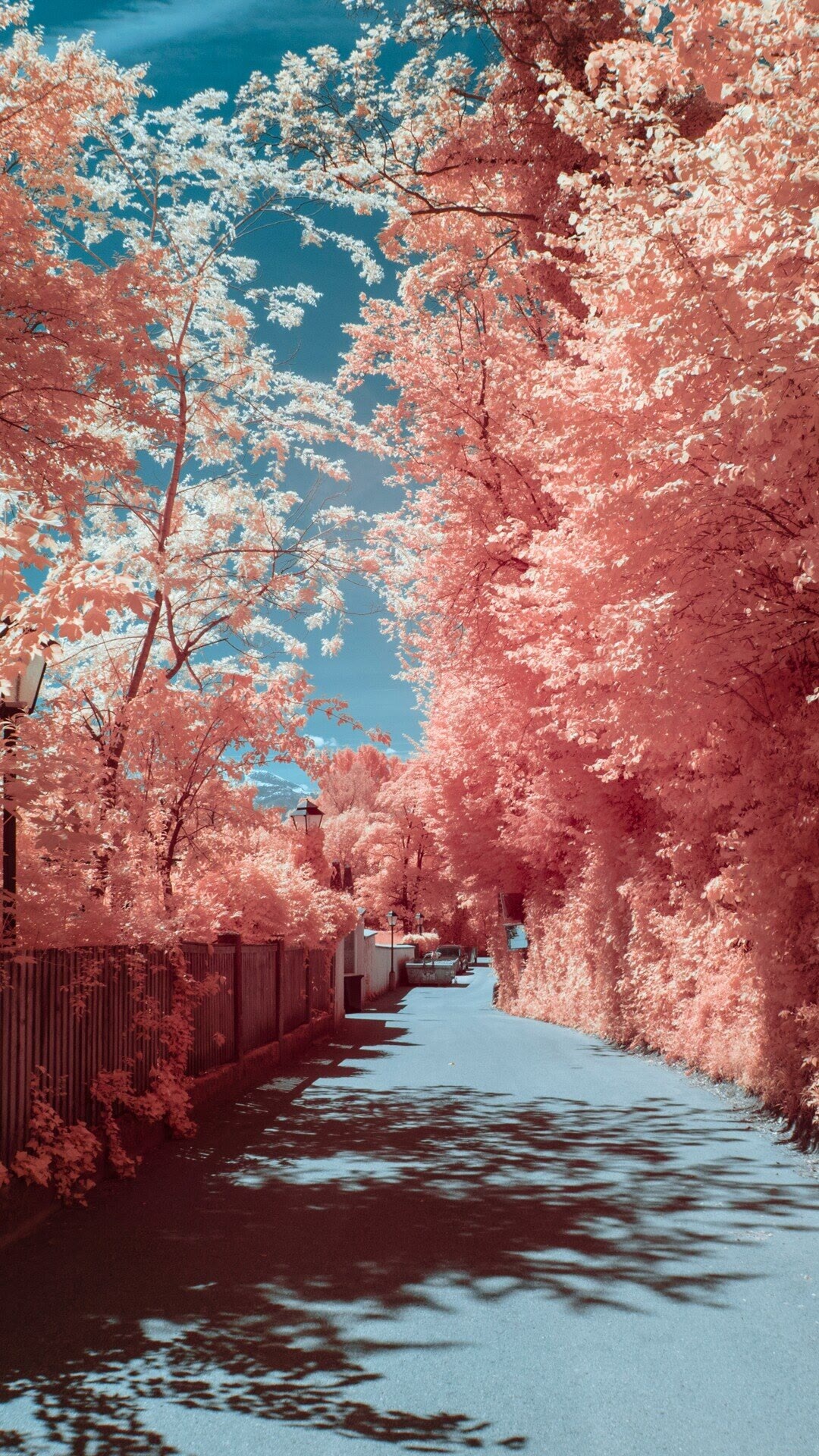 热议《咸鱼千金不想翻身》林棠悦裴庆抖音小说2022,今日超火