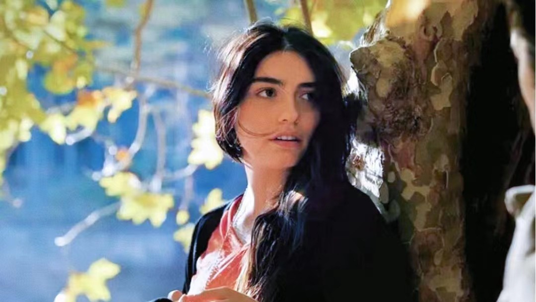 野梨树完整版免费观看,关于野梨树的电影