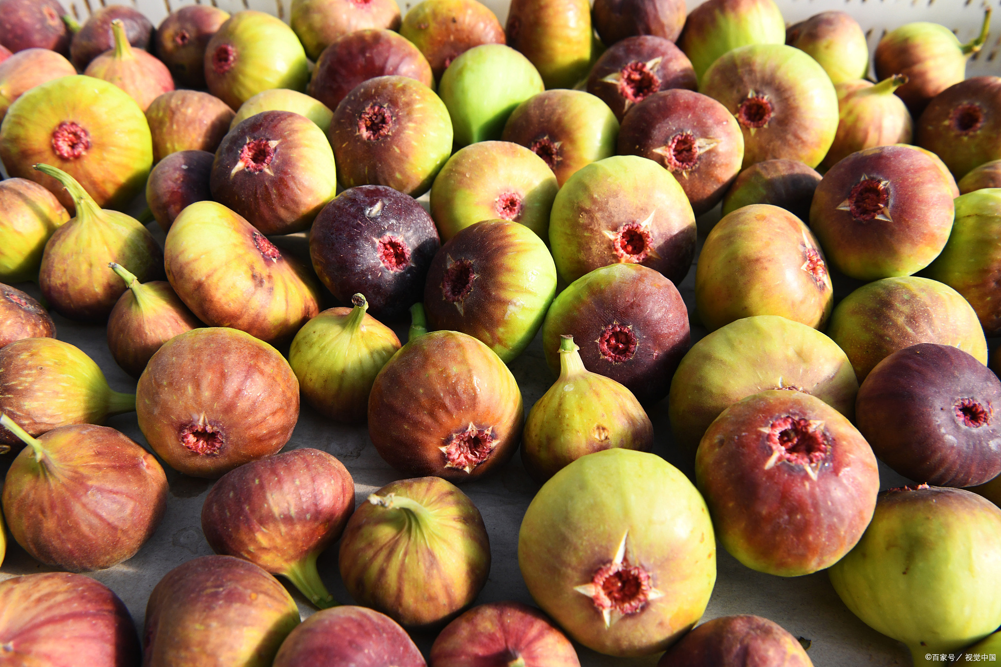 12月多吃这6种应季水果,每个月适合吃的应季水果