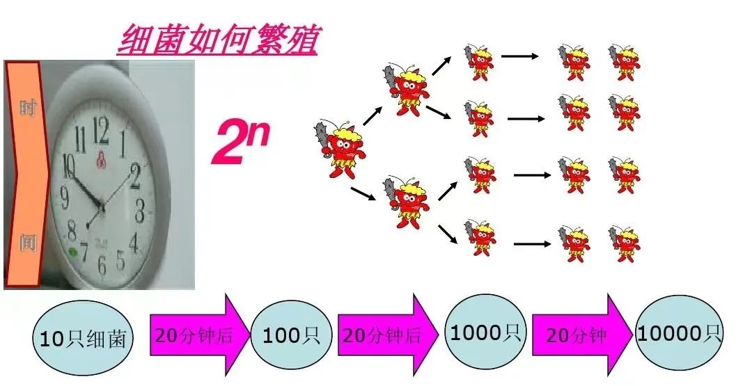 他从凌晨3点至早上7点拉了6次，我让他这样做！