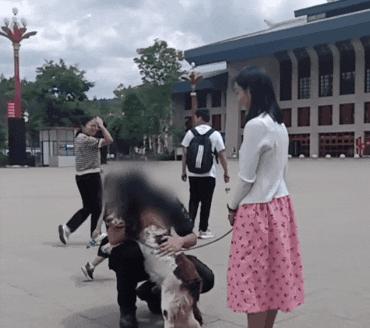 民警遇已故缉毒犬相似狗狗泪崩,民警发现酷似已故缉毒犬