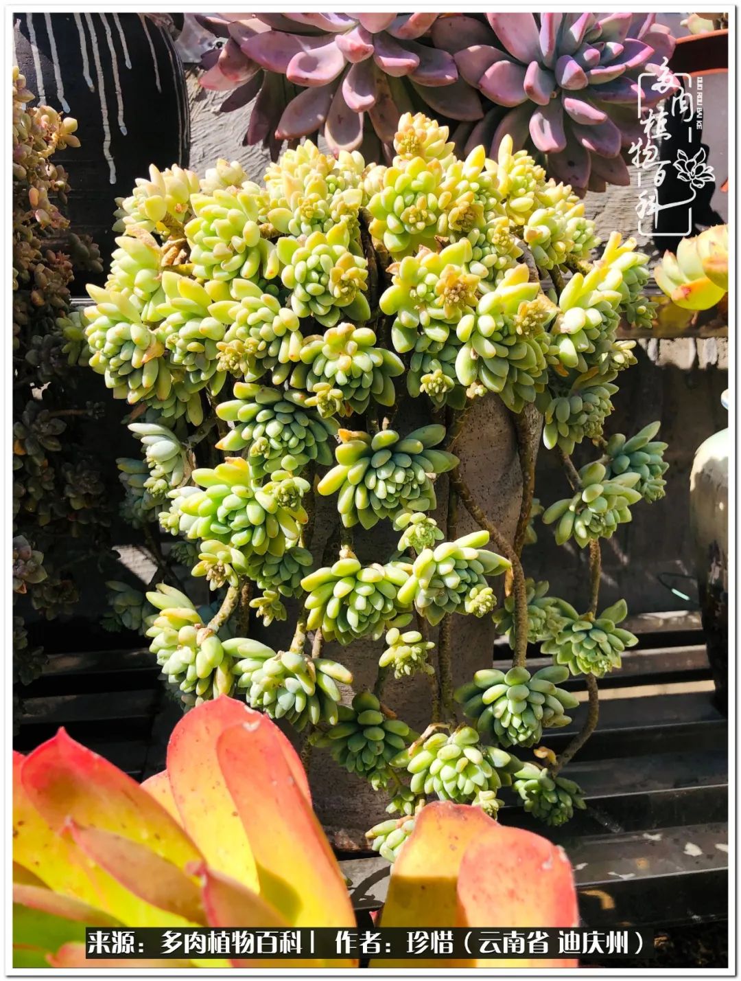 给生命一份淡然还岁月一份从容,给生命留一份洒脱的话