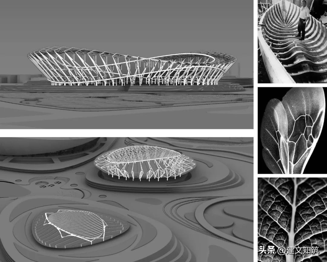 无锡奥林匹克体育中心施工单位,无锡奥体中心招标投标