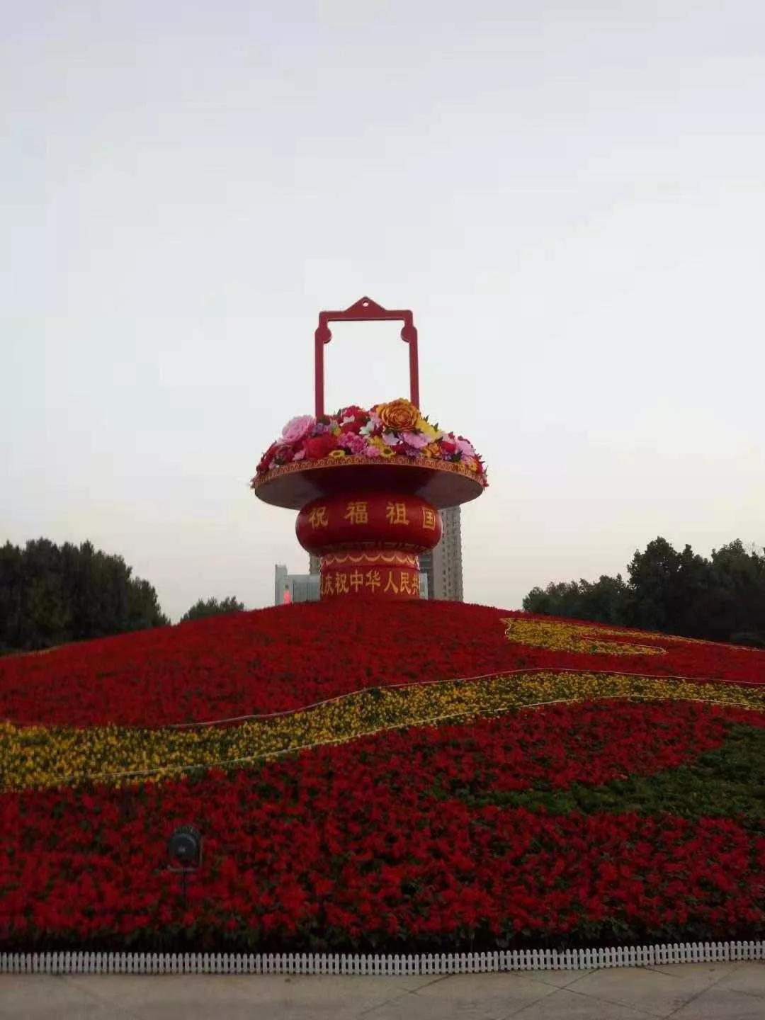 保定出租车女司机,保定女公交司机