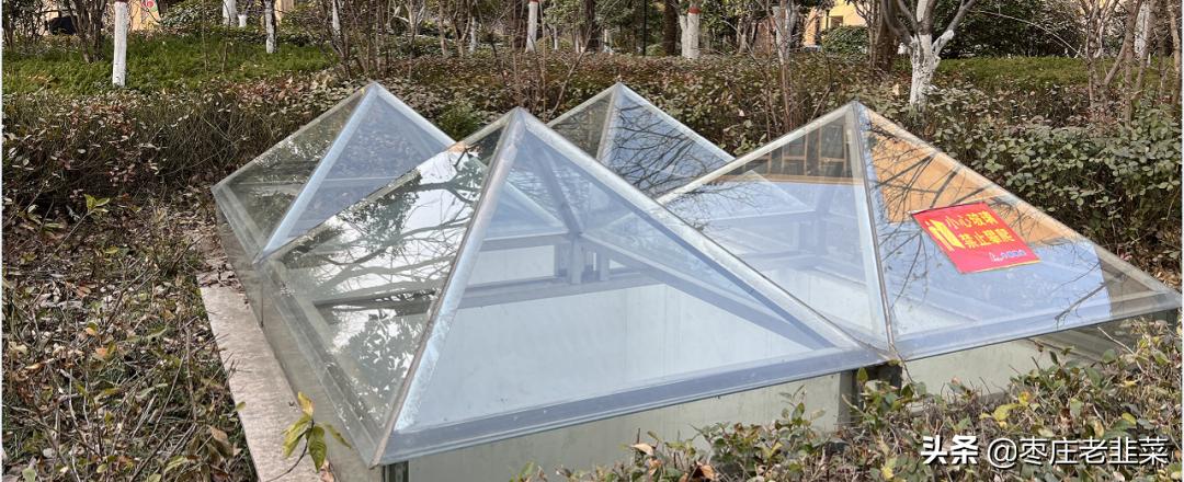 青铜还是王者？东湖片区物业服务调研报告