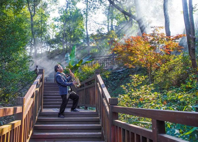 入展作品图片大全,瓶窑风景图片欣赏