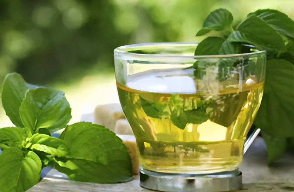 四季喝茶选择口诀,喝茶的讲究春夏秋冬喝什么茶