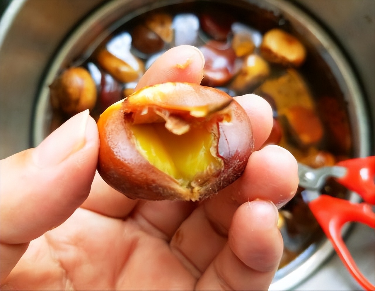 只要炖鸡肉，牢记这3步，鸡肉不腥不柴，入味好吃，很多人不知道