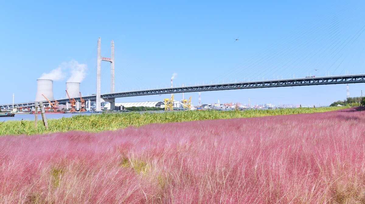 上海游玩免费景点推荐,上海推荐逛的免费景点