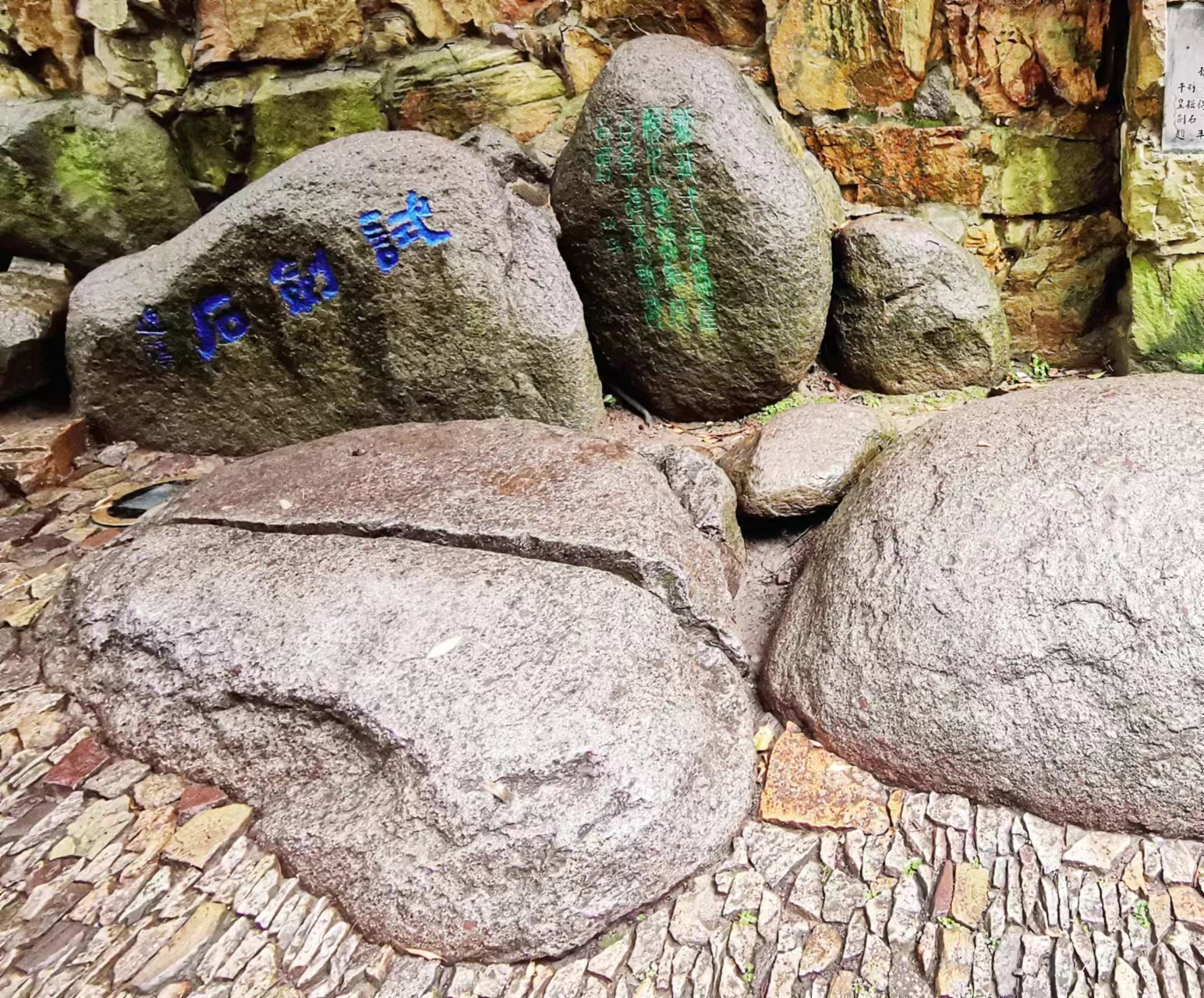 苏州虎丘茶花村,苏州最值得去的地方虎丘