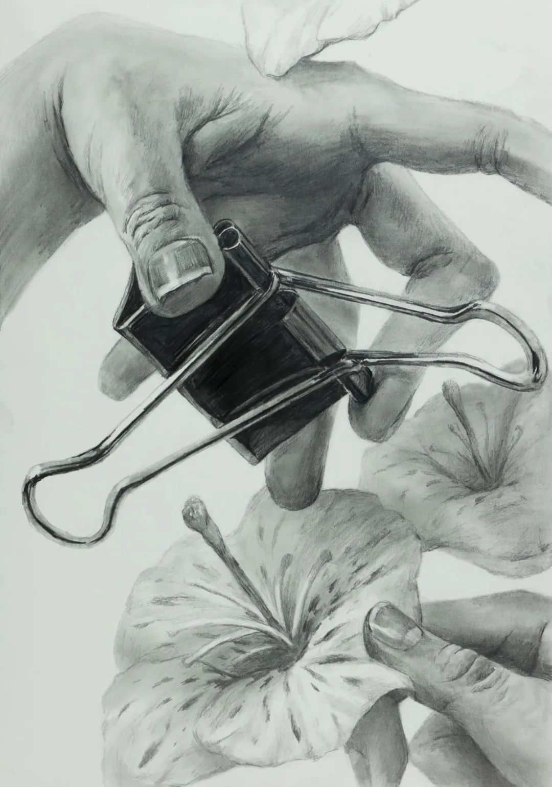 东美小众艺术大学专刊｜瞩目！金泽美工研究生报名开始了开始了！