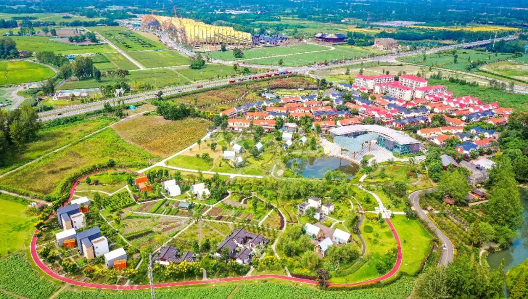 家校共育携手向前,家校社会共育共促成长