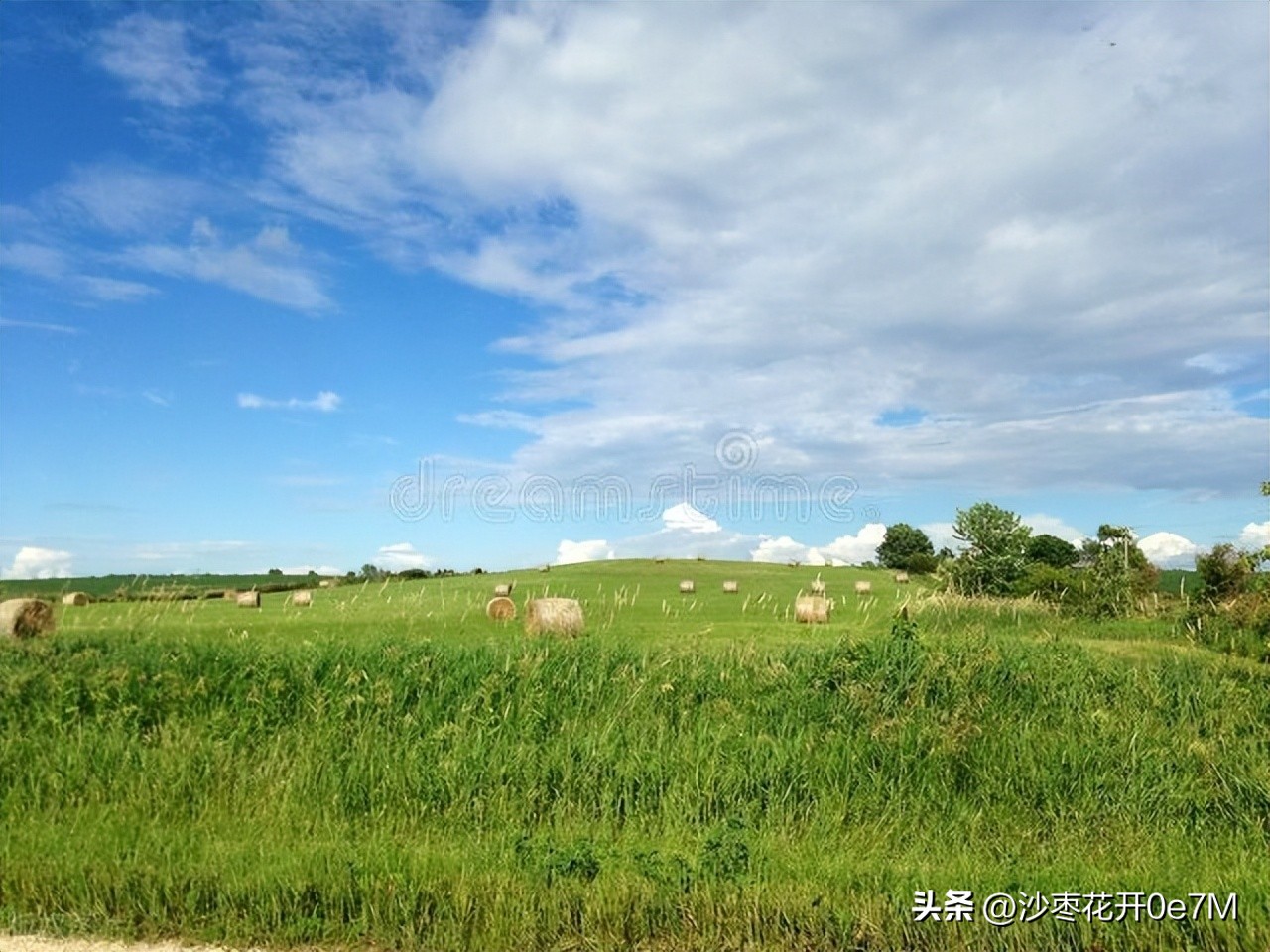 行走的青春免费观看完整版,小说行走的青春