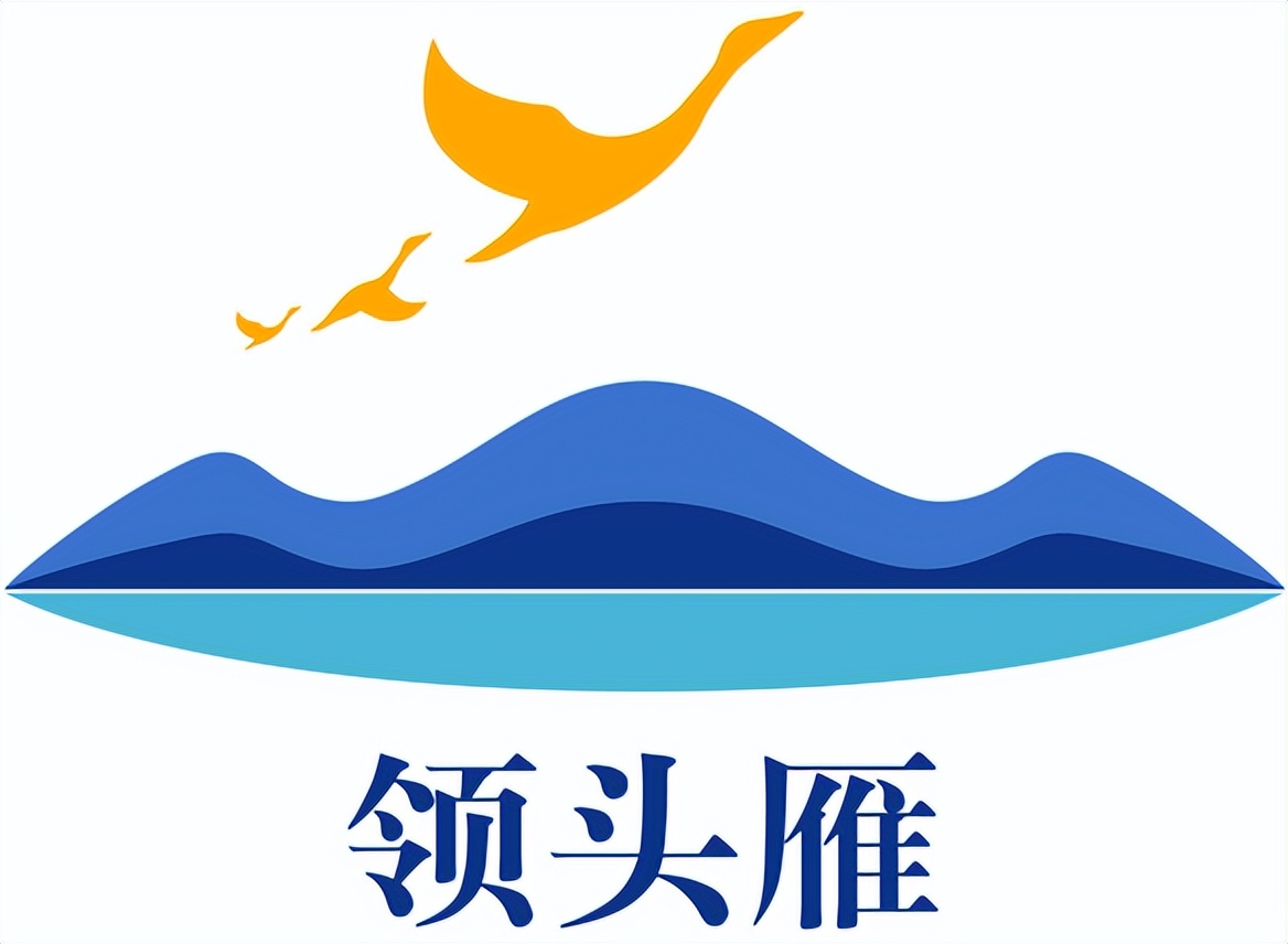 大好河山集团领头雁旅行社,大好河山旅游集团理财靠谱吗