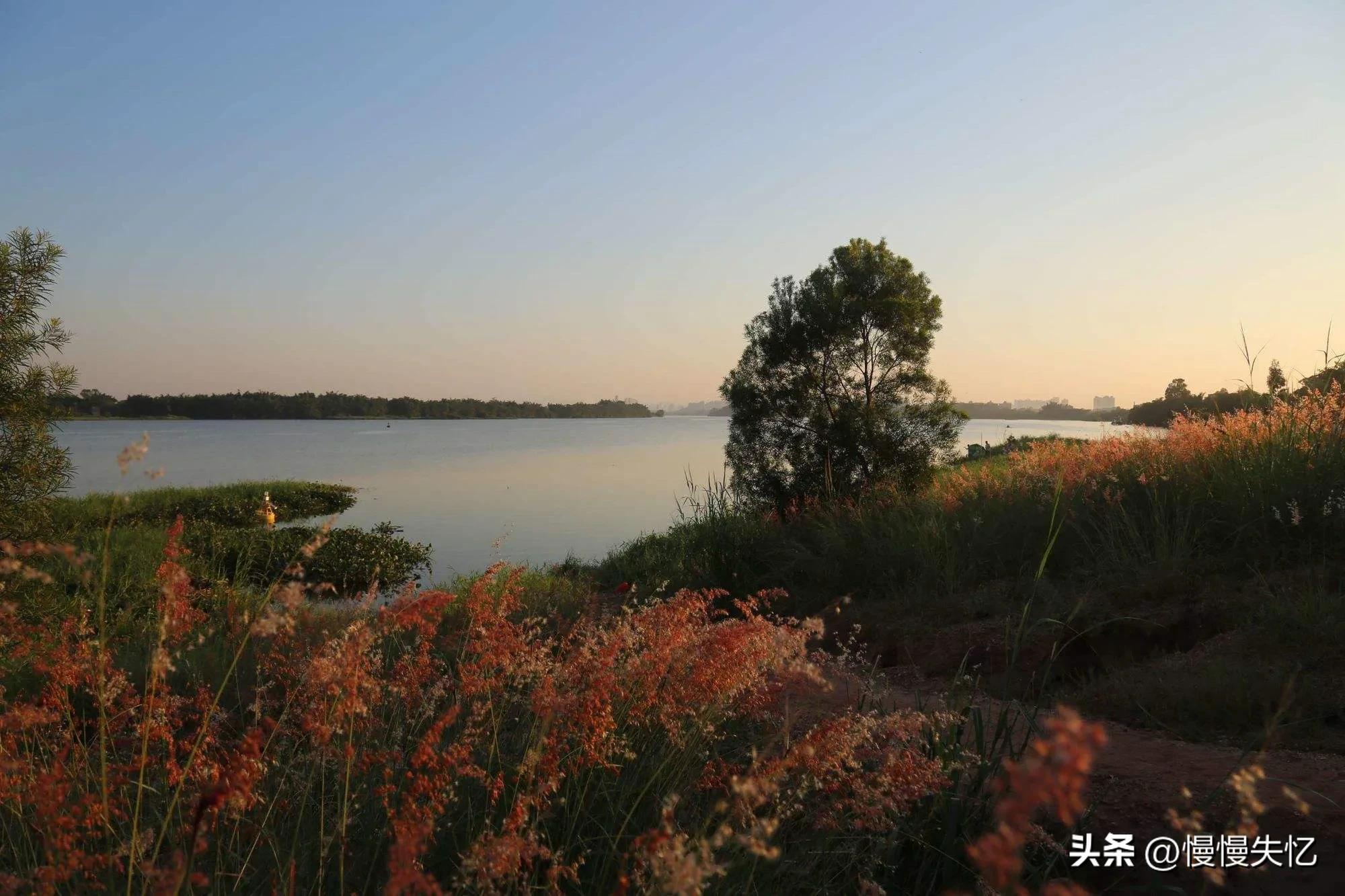 李白的送友人五言律诗,李白艺术水平最高的十首诗词