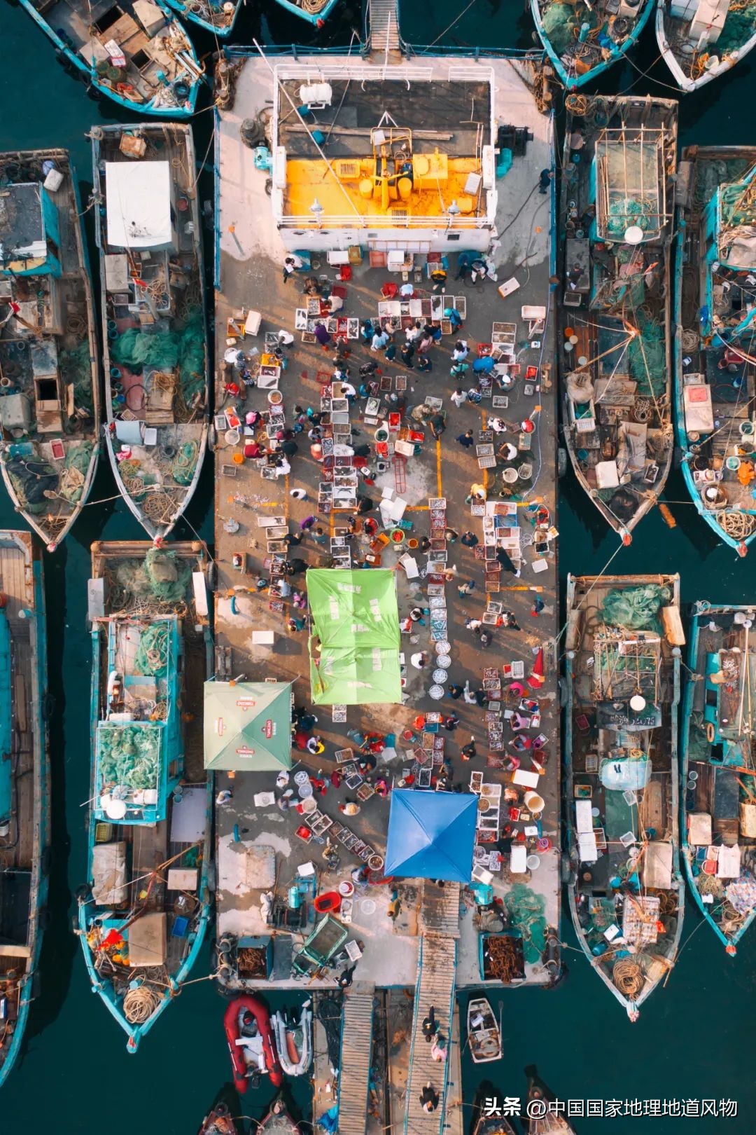 中国第一海鲜大省,中国第一海鲜怎么样