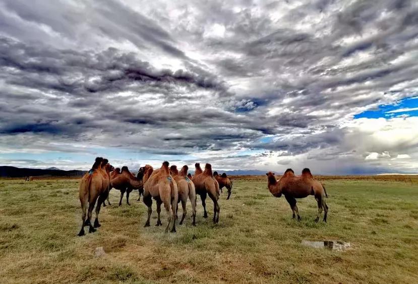 青海为啥成为核基地,青海怎么出圈